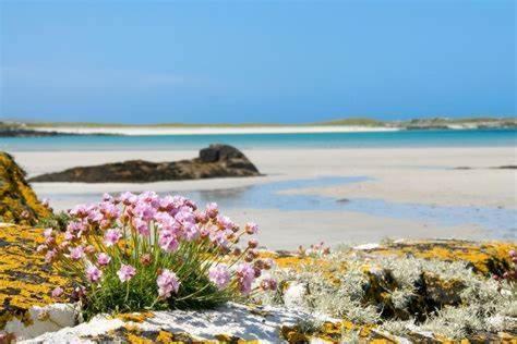 Wild Atlantic Stay Guest House Self-Catering Inverin Dış mekan fotoğraf